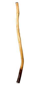 Peter Sherwood Didgeridoo (NV117) 